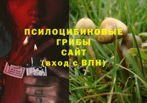 COCAINE Корсаков