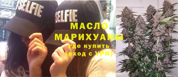 прущие грибы Краснотурьинск