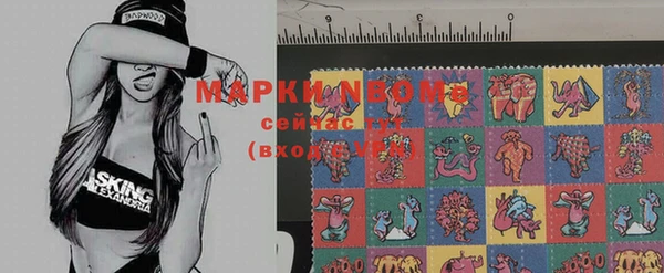 прущие грибы Краснотурьинск