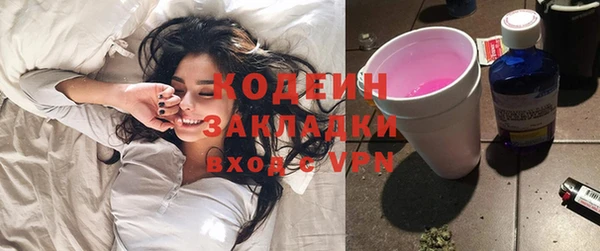 прущие грибы Краснотурьинск
