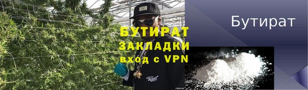 прущие грибы Краснотурьинск
